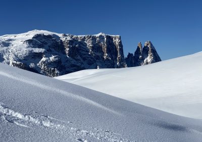 IMG_0137-1