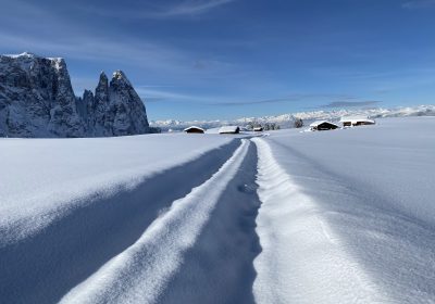 IMG_8214-1