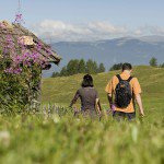 Naturpark Schlern-Rosengarten: Compatsch - Saltnerhütte - Schlernhaus - Tierser Alpl - Compatsch