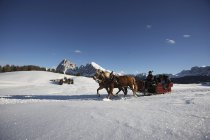 pferdeschlittenfahrten-seiser-alm11